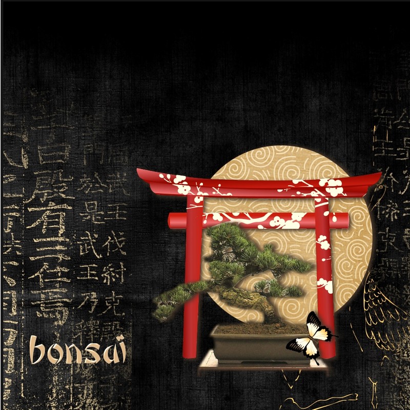 Bonsaï