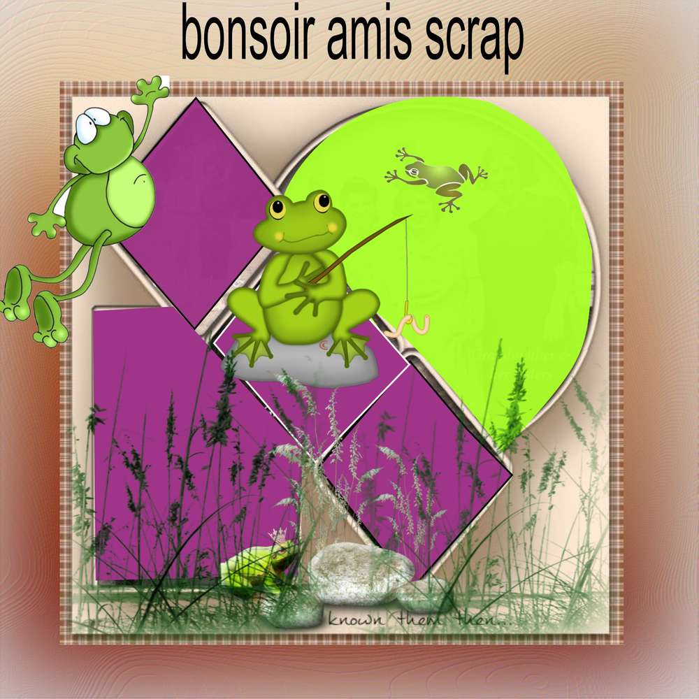 bonsoir_amis_scrap