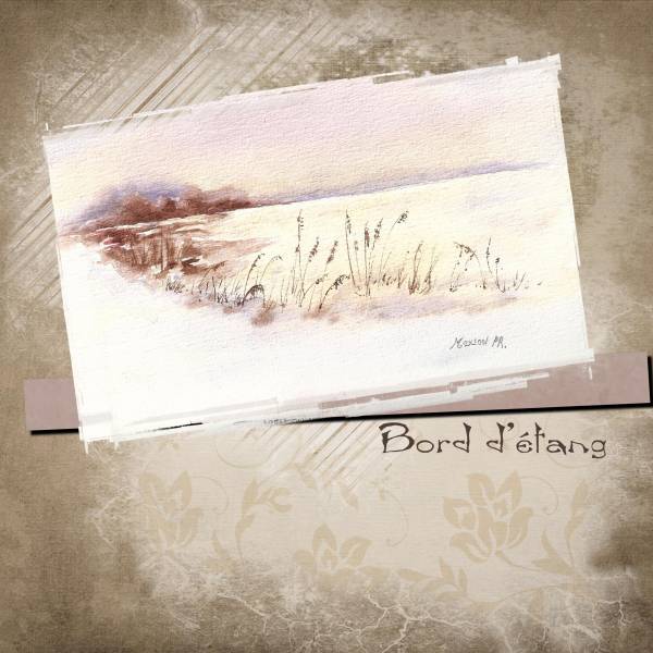 bord d'étang