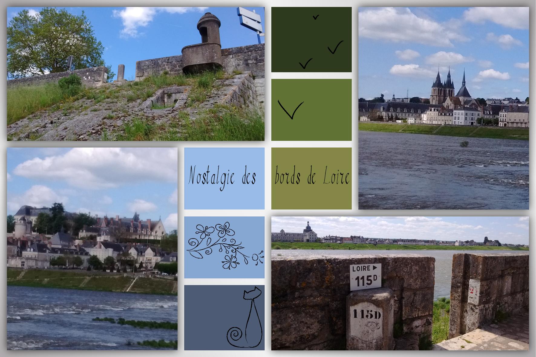 Bords de Loire 2016.jpg