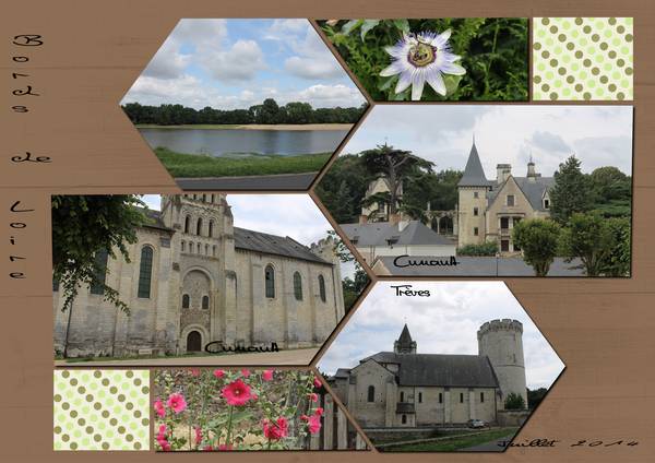 Bords_de_Loire_Juillet_2014