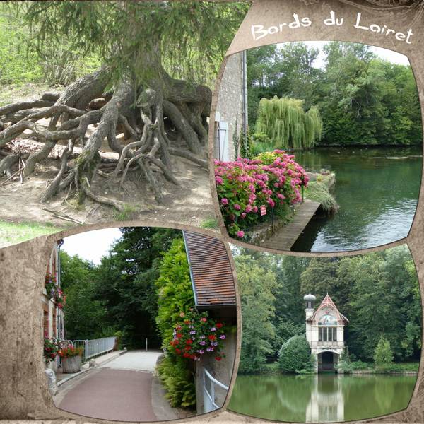 Bords_du_Loiret