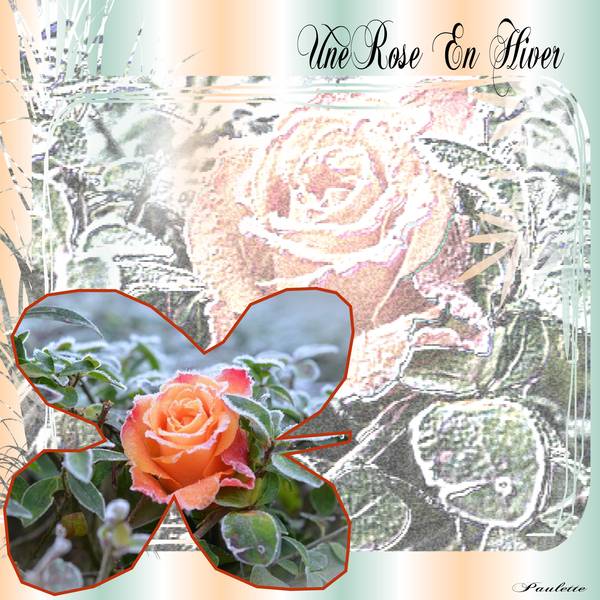 Botanique-et-challenge max