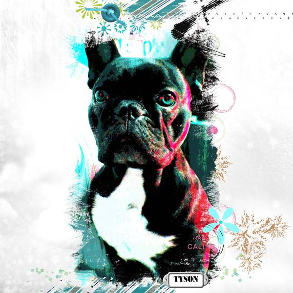 bouledogue français