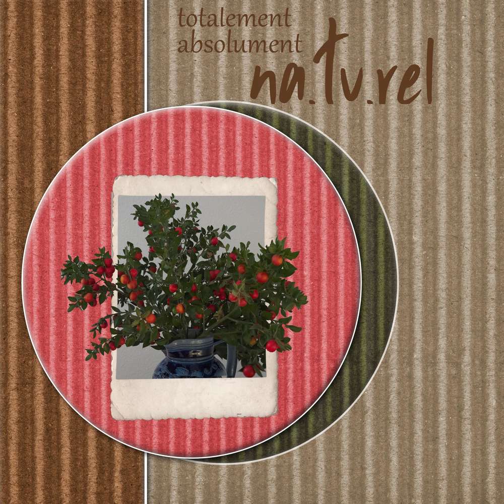 bouquet_de_la_semaine_