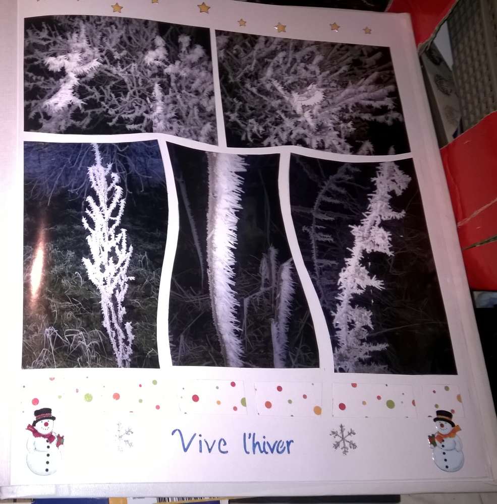 branchettes givrées