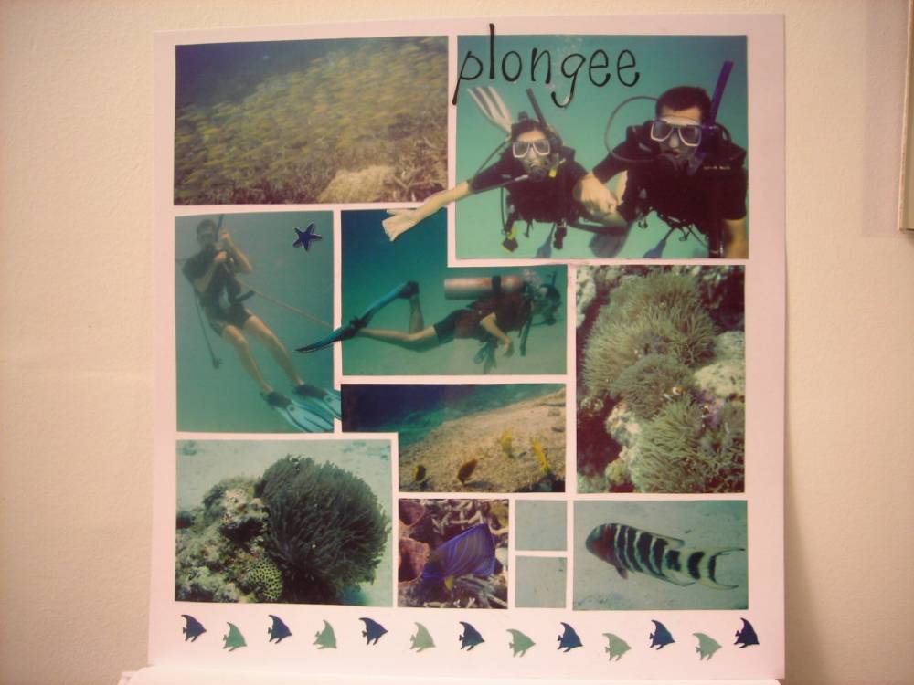 Brevet de plongée PADI Open water