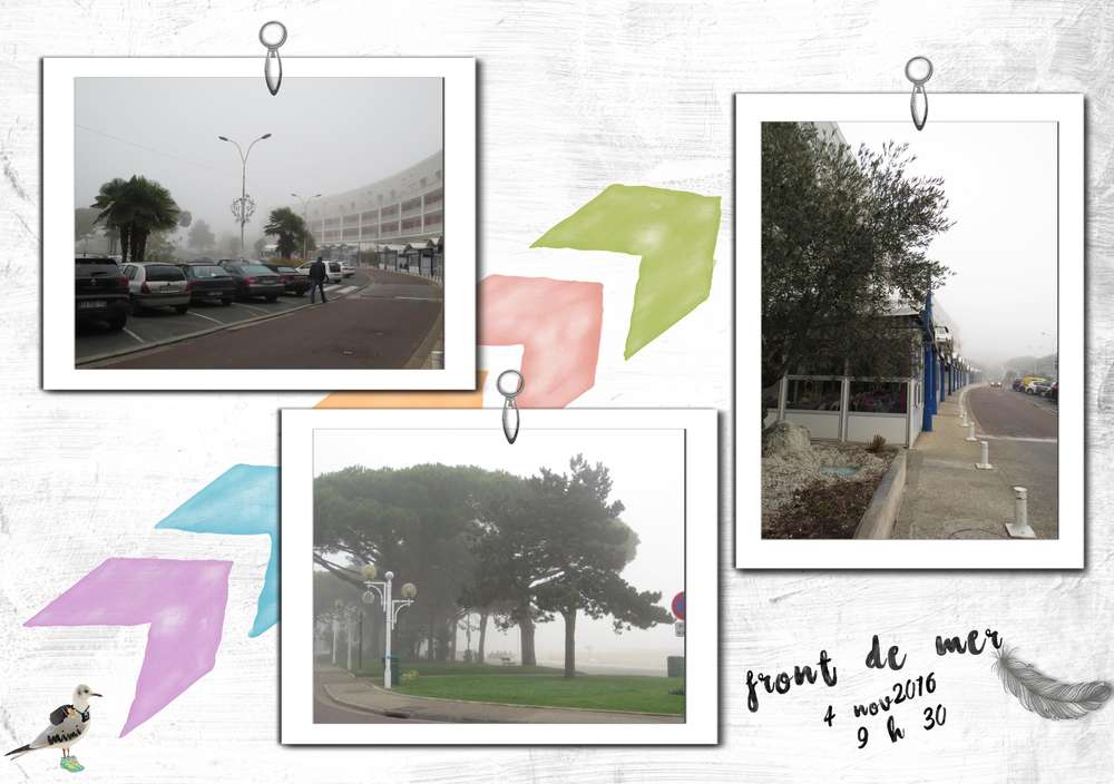 Brouillard-Front de Mer