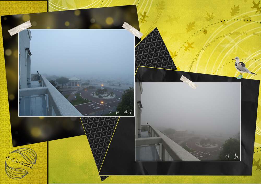 brouillard sur le port....