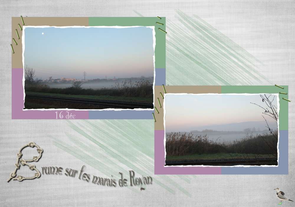 Brume.....