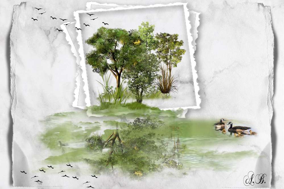 bucolique_reflet__1_