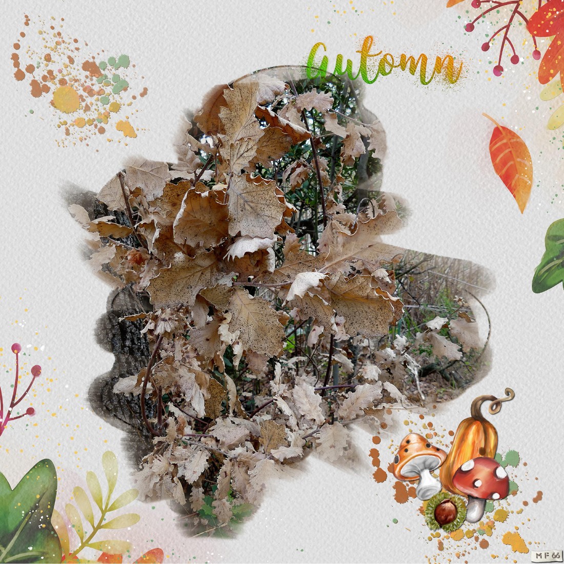 c est déjà l'automne .jpg