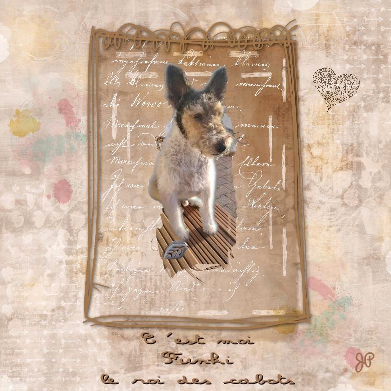 c est moi le roi des cabots.jpg