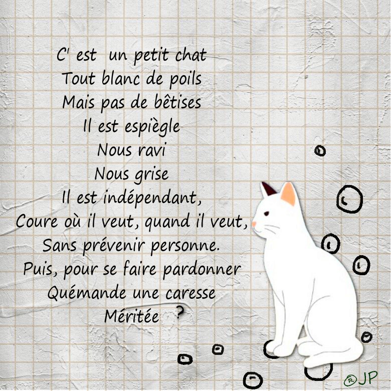 c est un petit.jpg