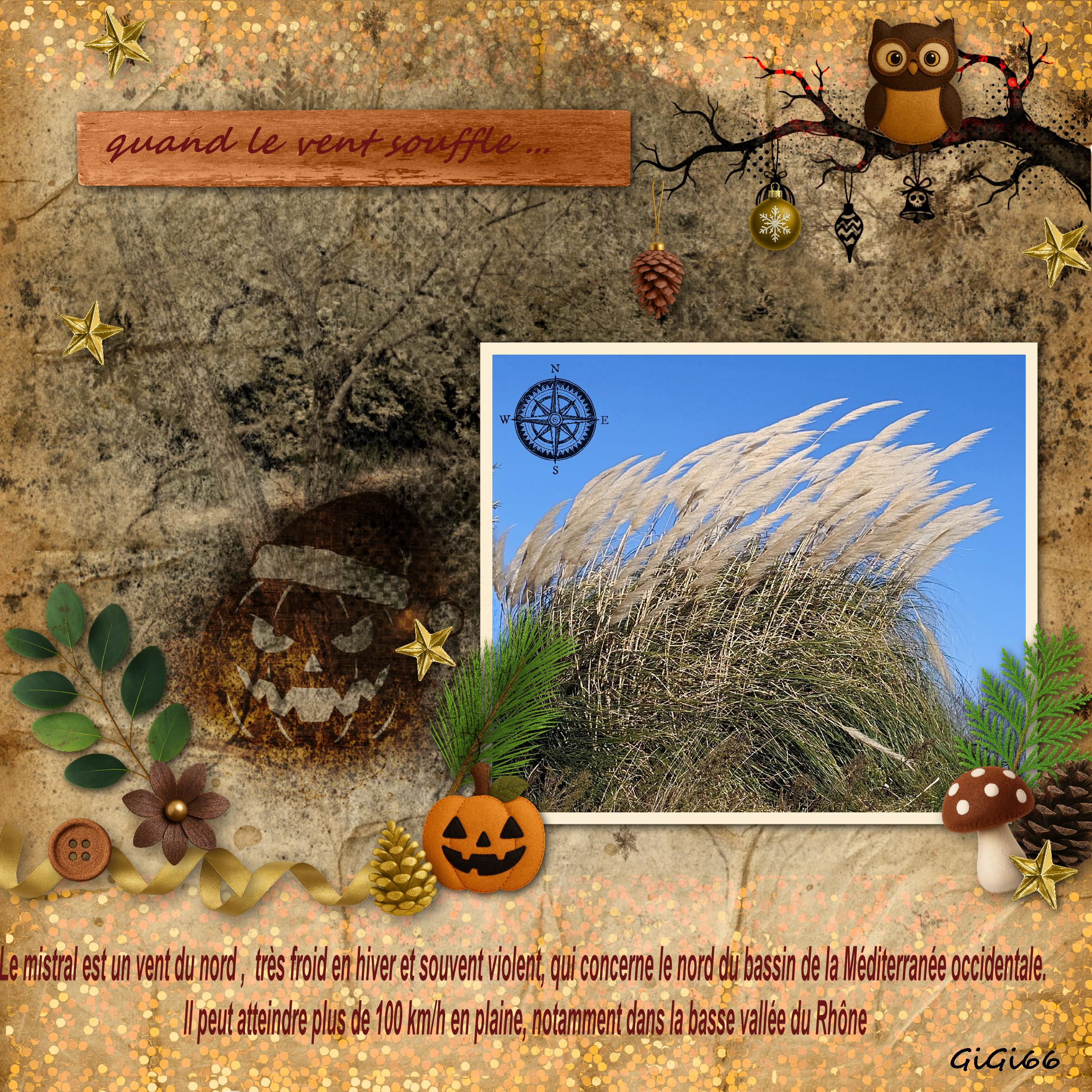 c_arthea-frissons-vent .jpg