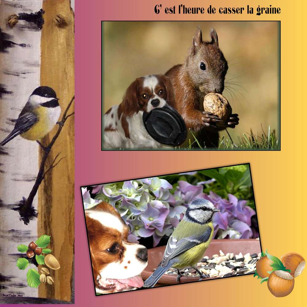 c_est_l_heure_de_casser_la_graine