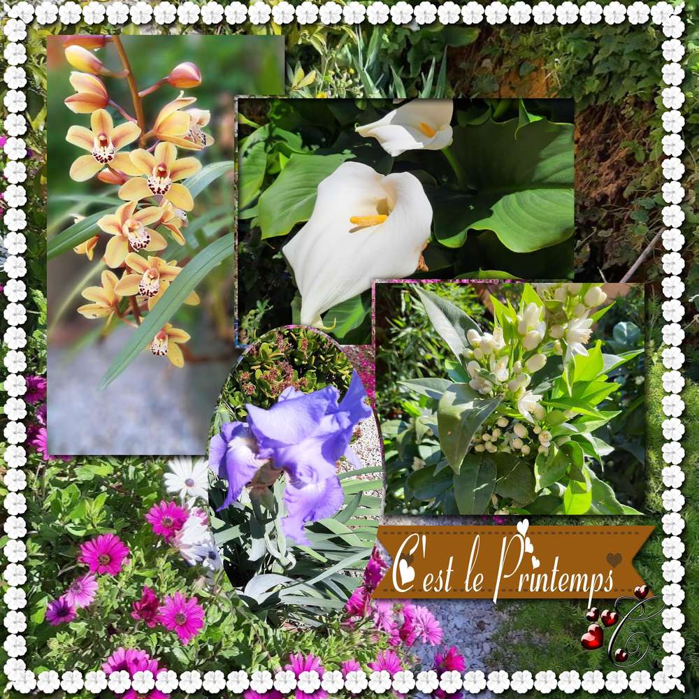 c_est_le_printemps4