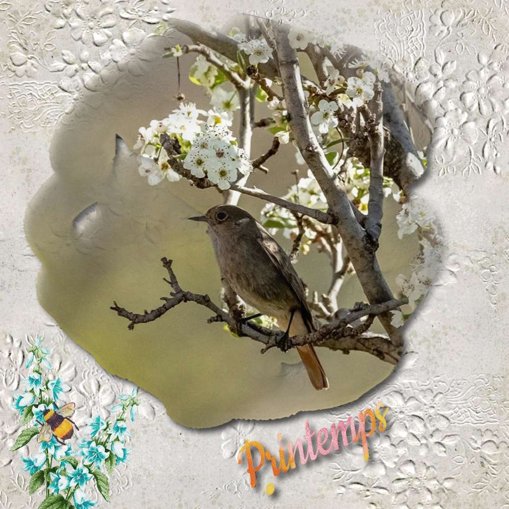 c_est_le_printemps_2