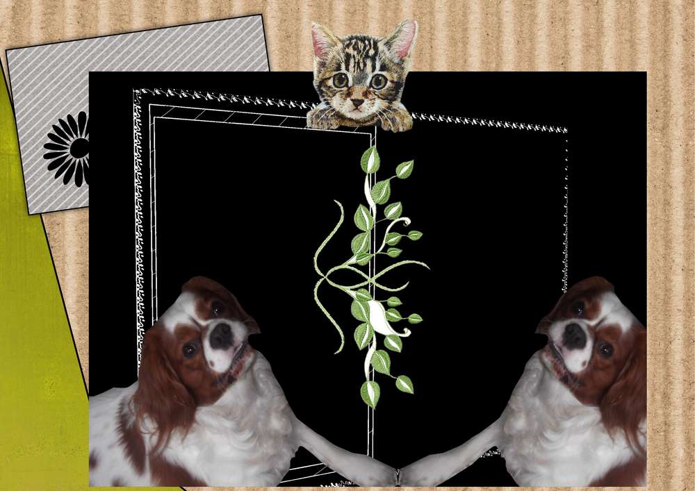 c_est_moi__floyd_au_miroir