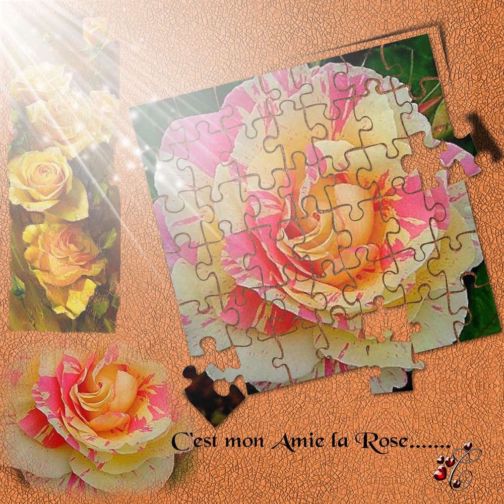 C_EST_MON_AMIE_LA_ROSE