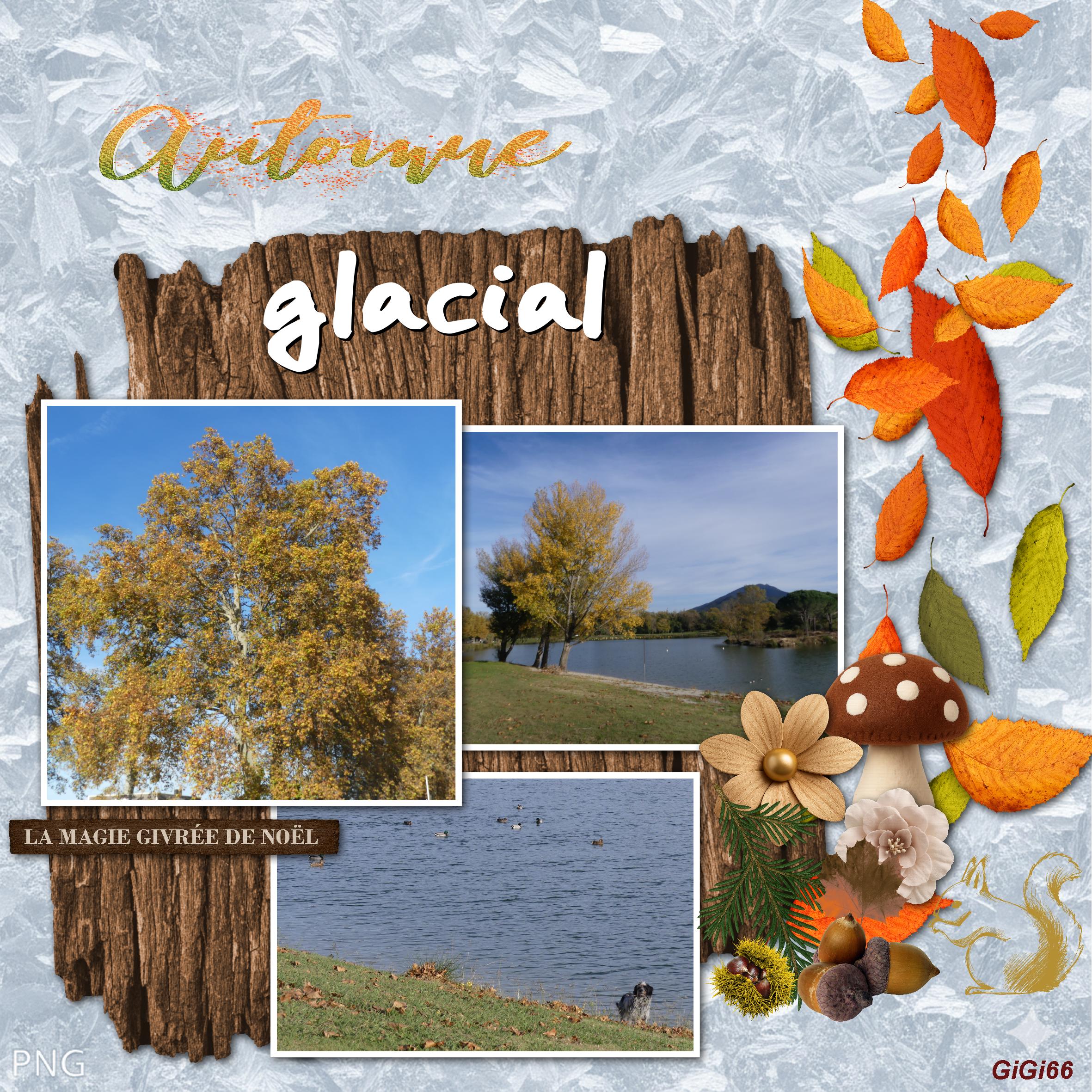 c_moyson-automne glacial.jpg