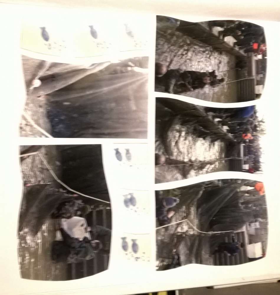 Ça y est, les poissons sont dans le filet