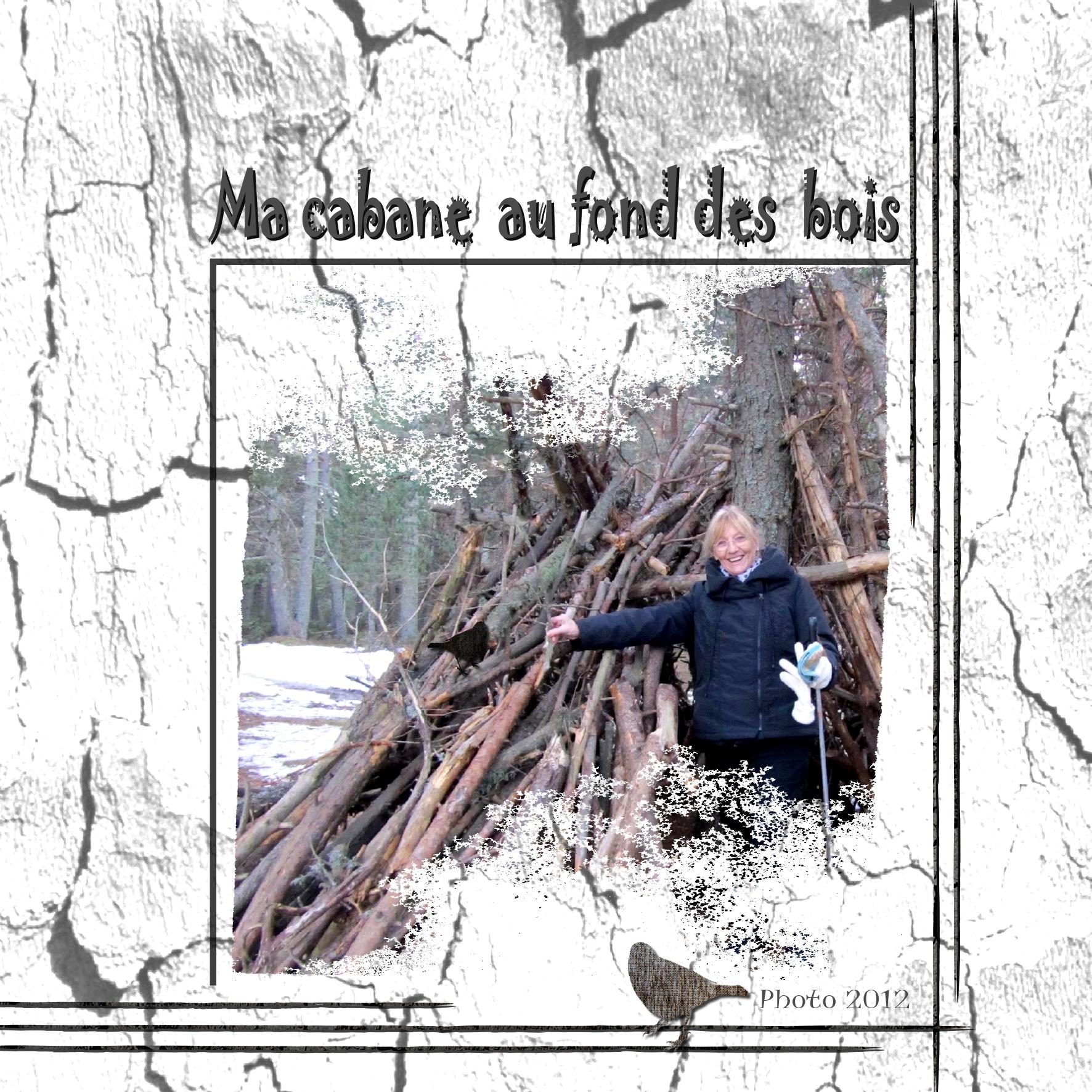 Cabane au fond des bois .jpg