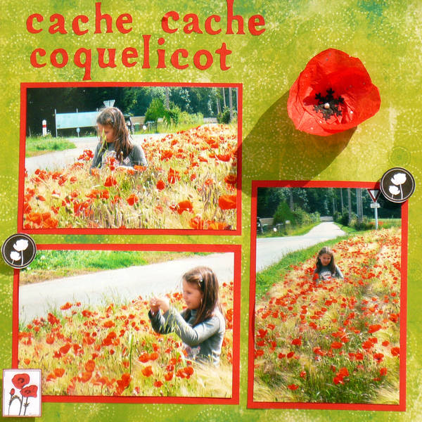 cache cache coquelicot