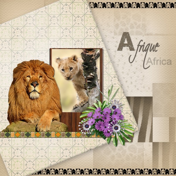 Cache cache en savane
