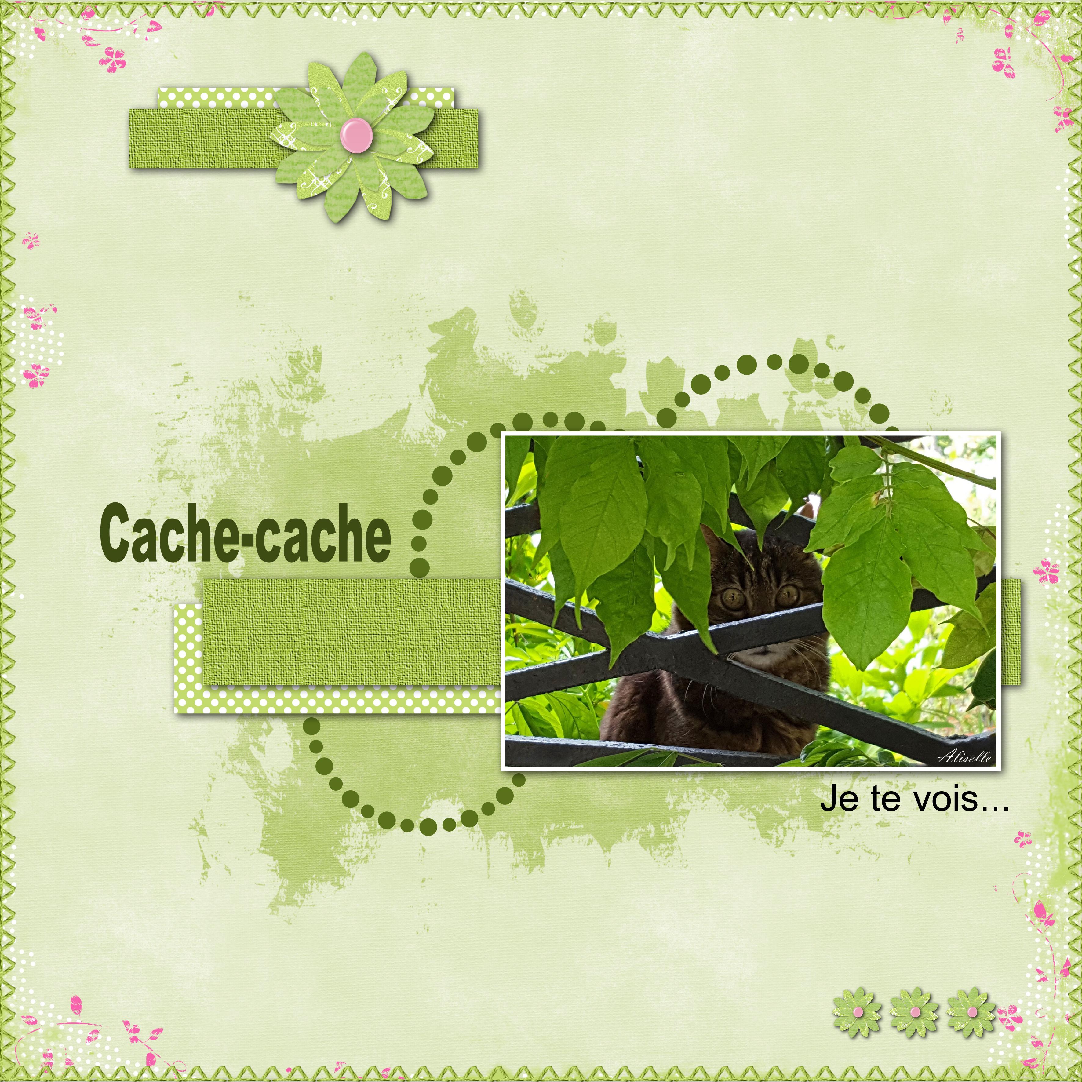 Cache cache .jpg