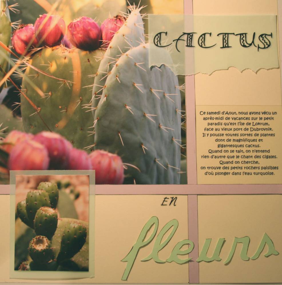 cactus bis