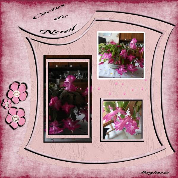 CACTUS DE NOÃ‹L - DÃ‰FI RÃˆGLE DE 3