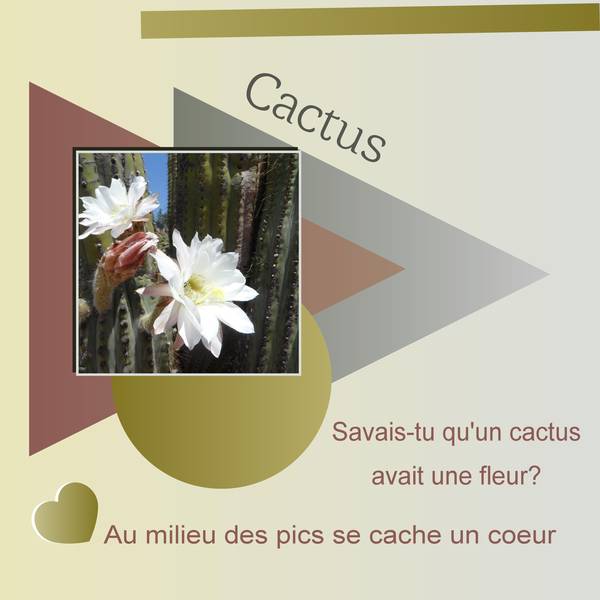 CACTUS