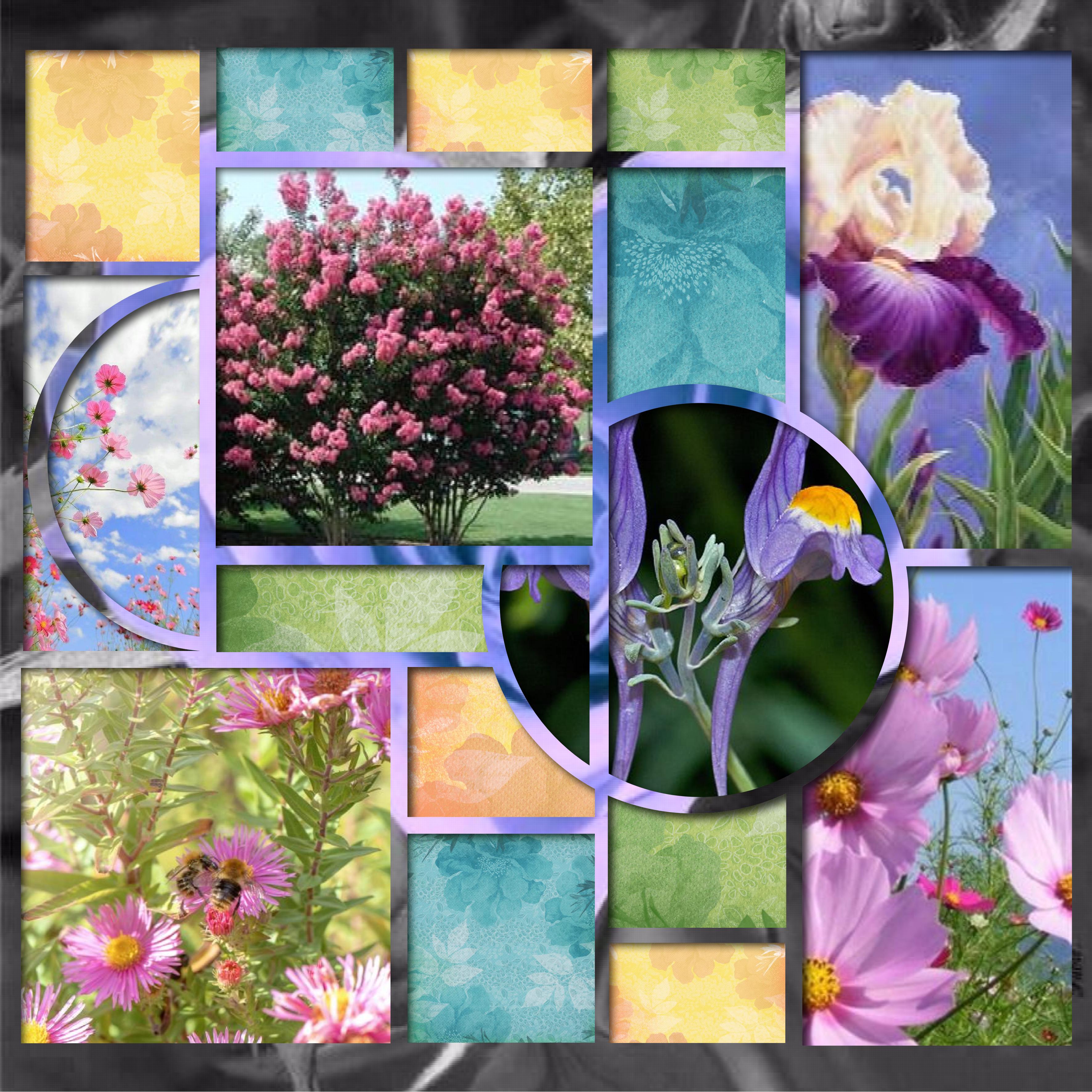 cadre azza fleuri.jpg