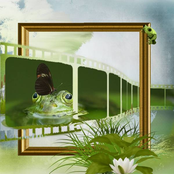 cadre grenouille