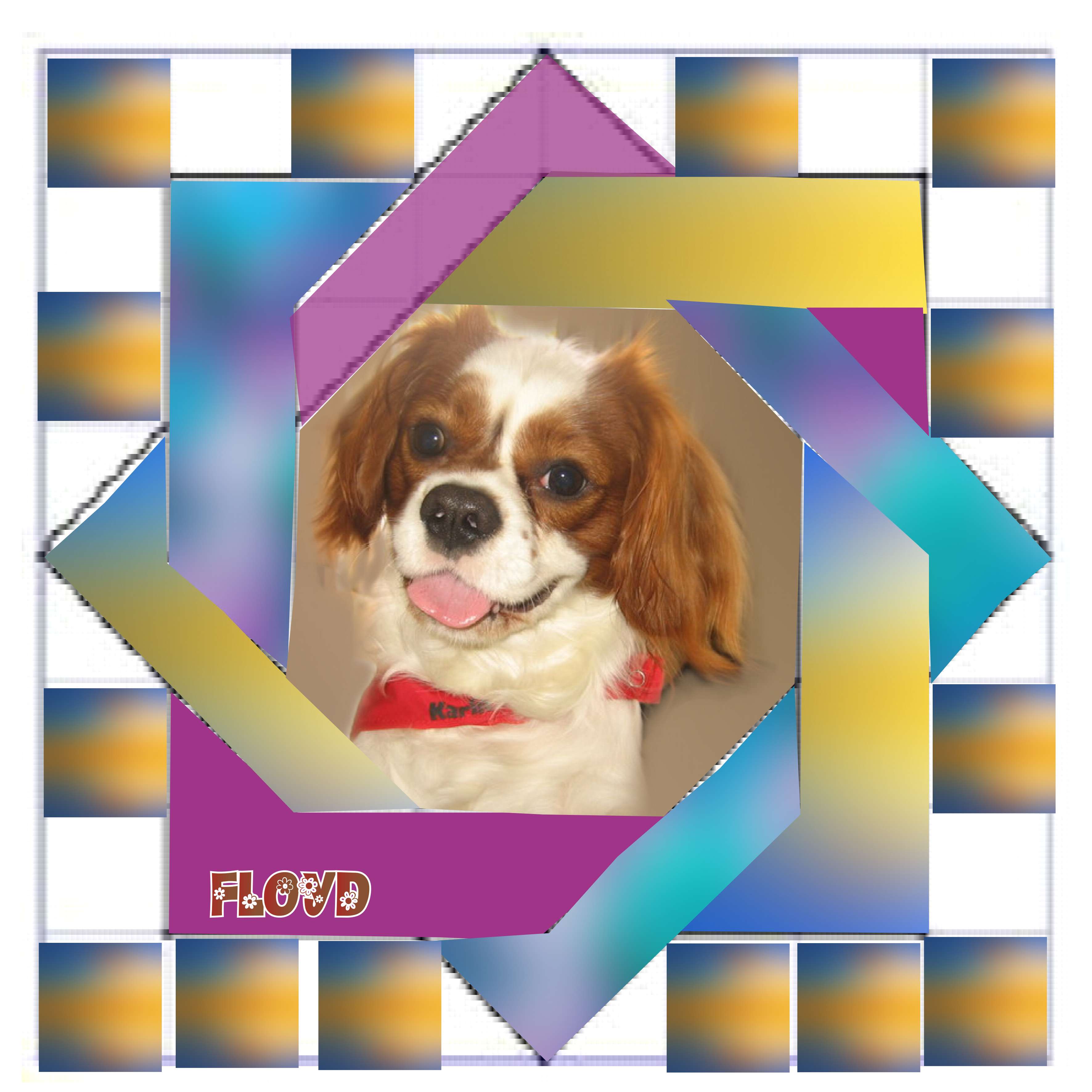cadre pour FLOYD.jpg