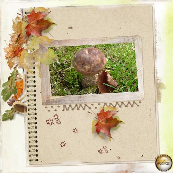 Cahier d'automne...