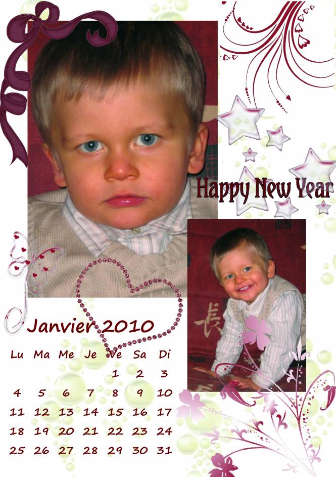 calendrier janvier 2010