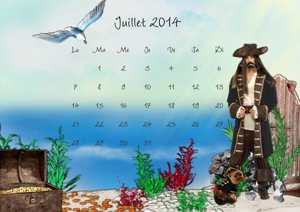 Calendrier juillet 2014