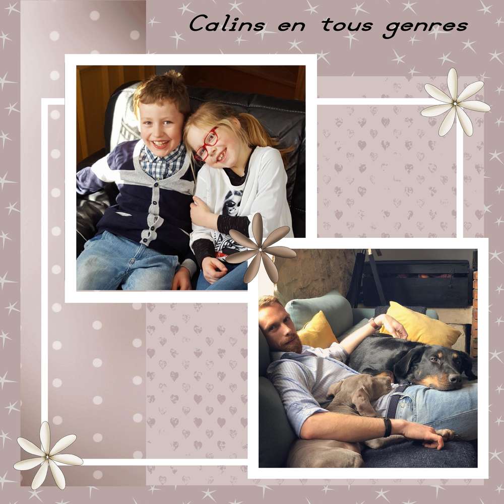 Calins en tous genres