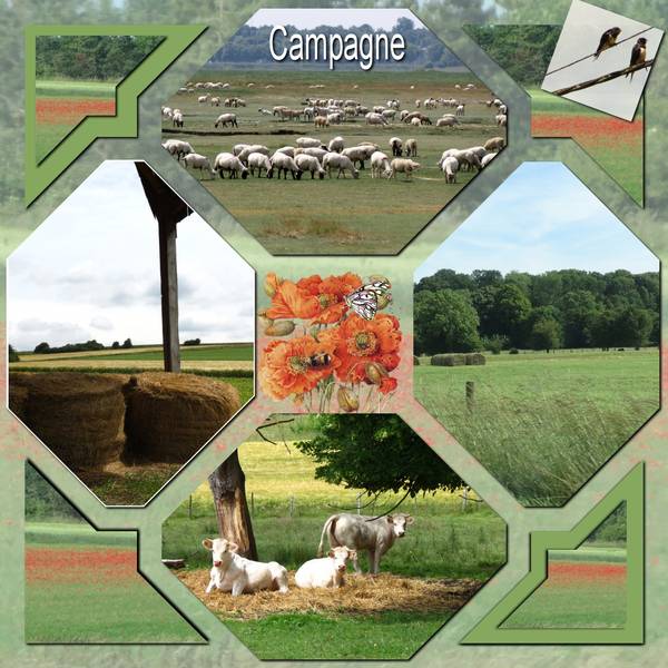 campagne22