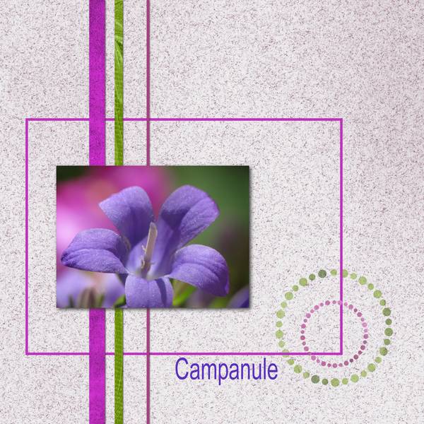 Campanule