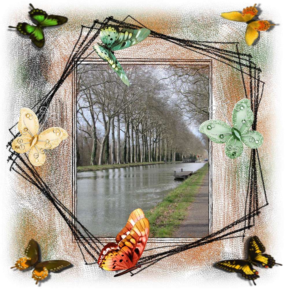 canal de mon montech