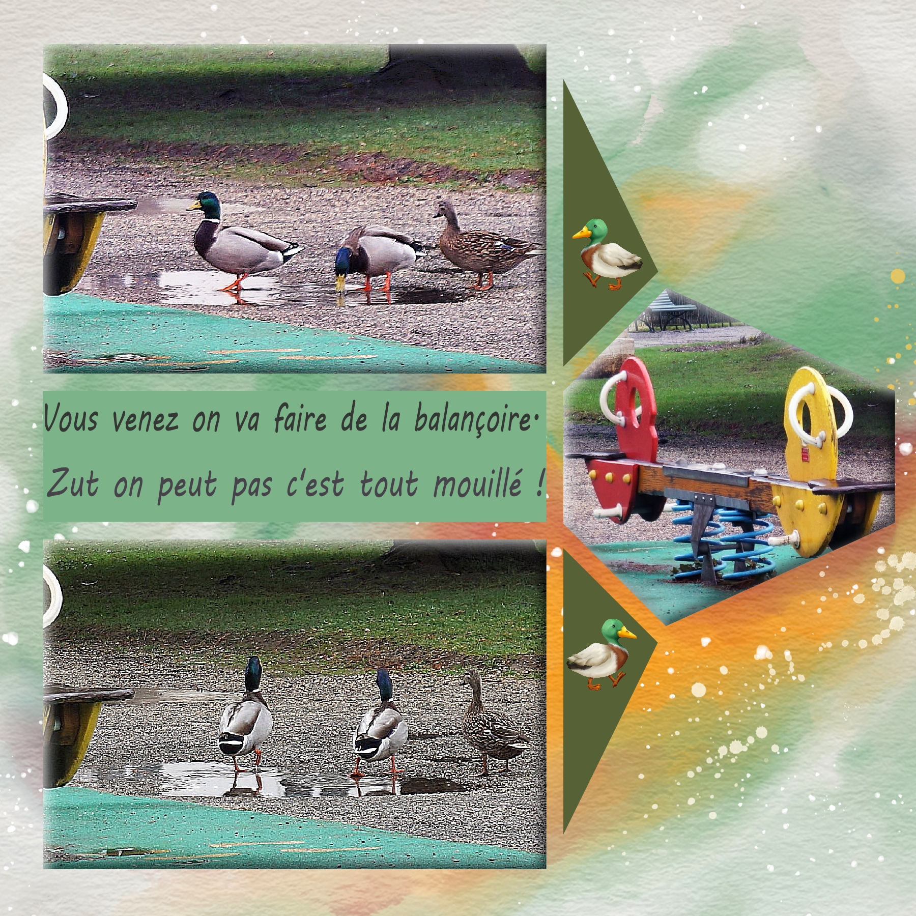 canard 07 02 2021.jpg