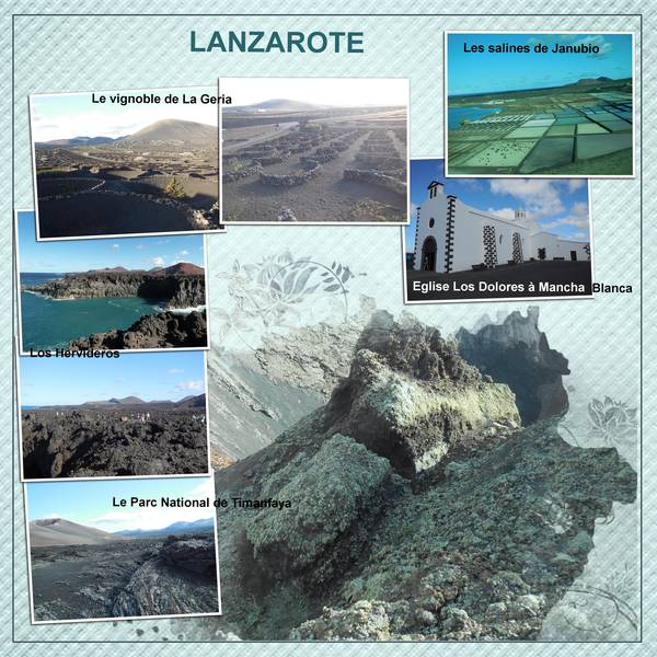 canaries_lanzarote