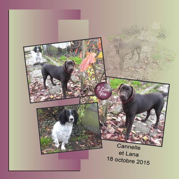 CANNELLE ET LANA LE 18 OCTOBRE 2015