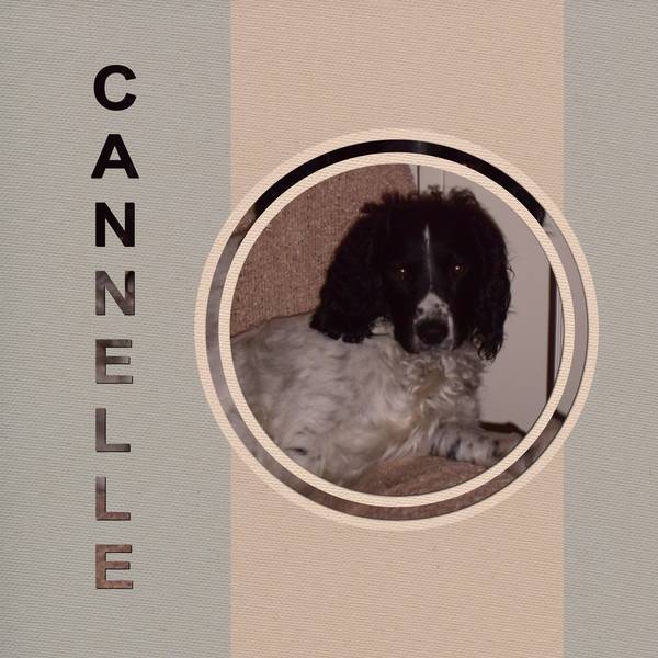 CANNELLE