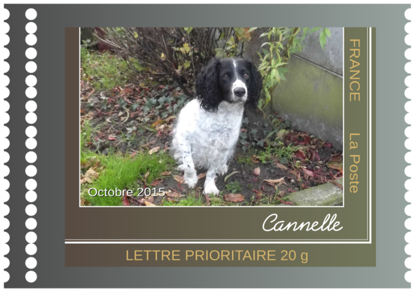 CANNELLE