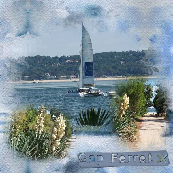 Cap ferret