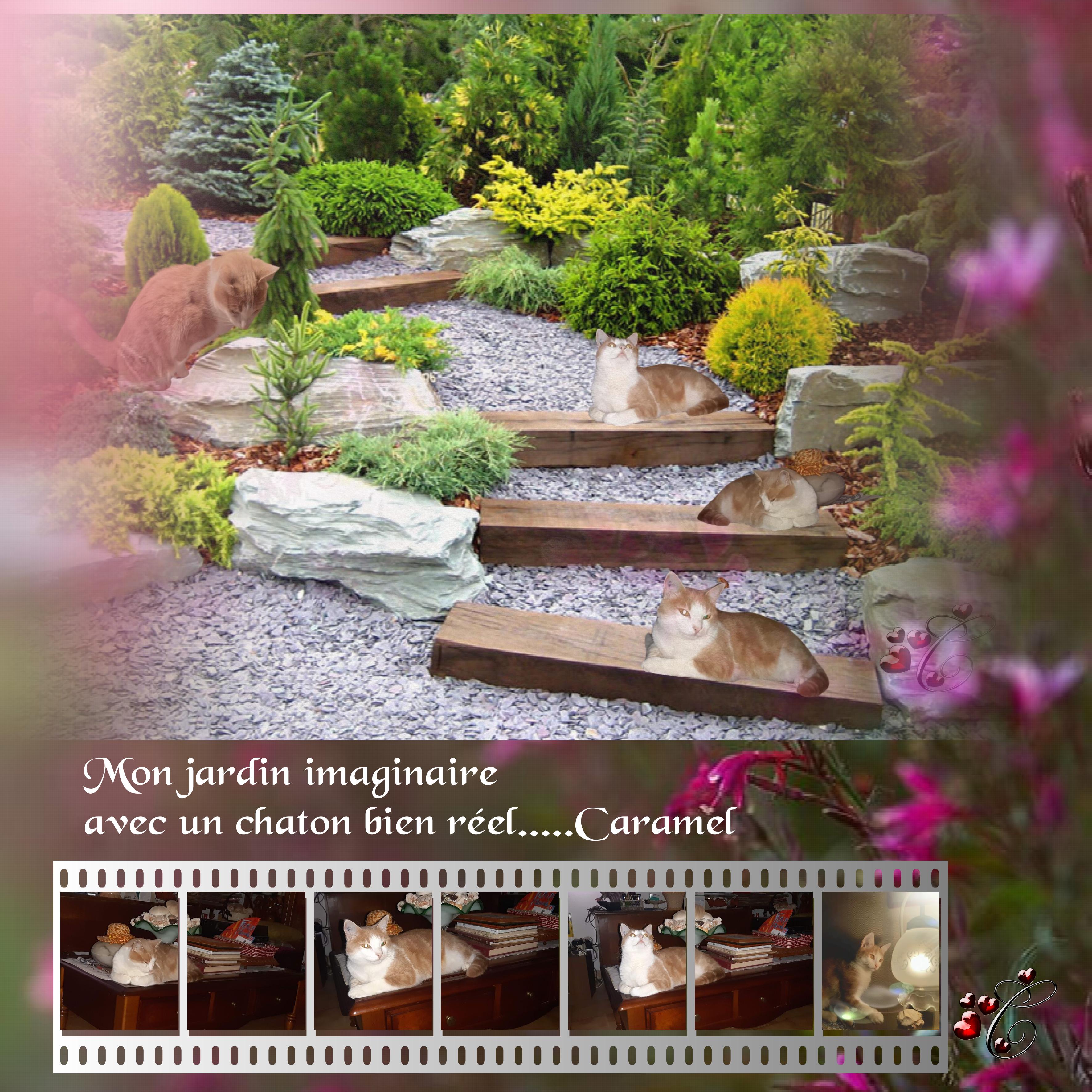 Caramel  Christine jpg